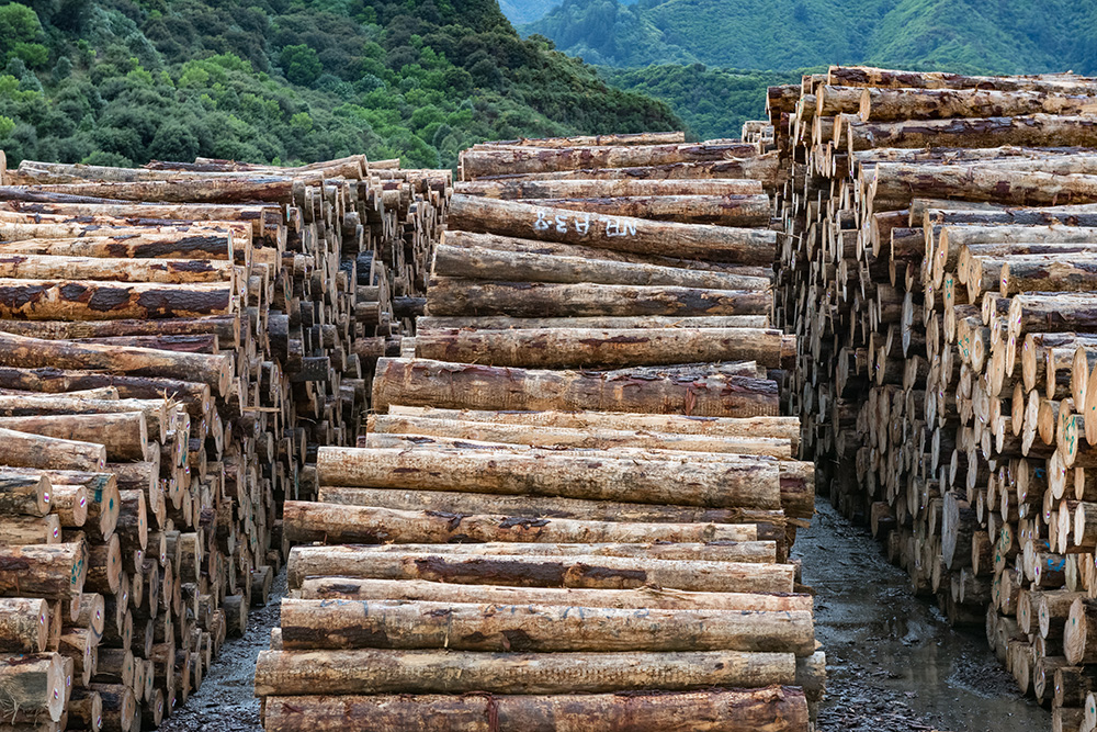 Log yard