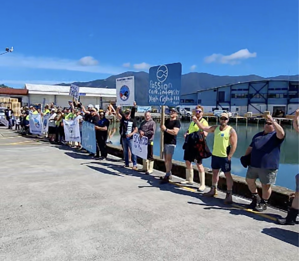 Striking Sanford workers at Havelock 5 November 2025